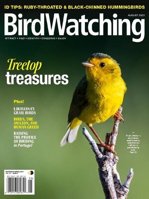 cover image of BirdWatching